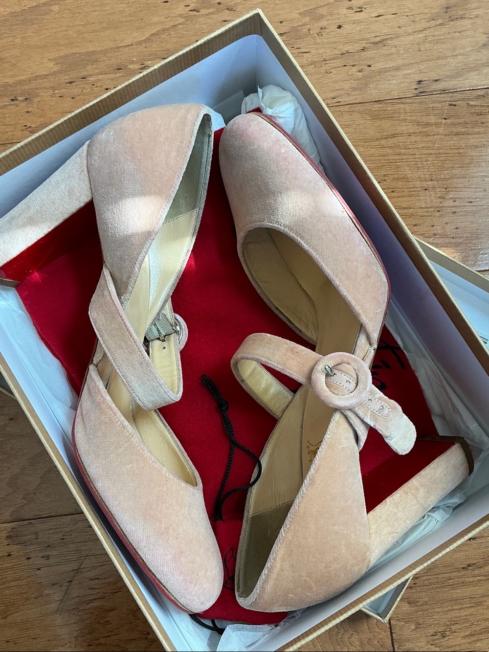 Christian Louboutin Blush Suede Mary Jane Block Heel Pumps